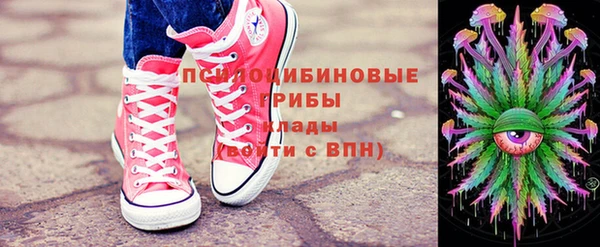 прущая мука Каменка