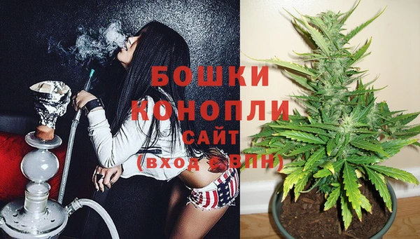 эйфоретик Инсар