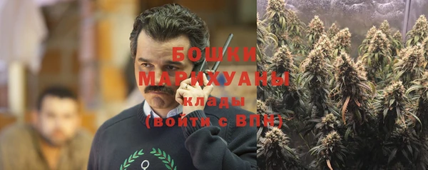 эйфоретик Инсар